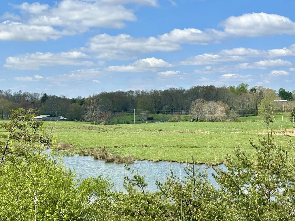 428 Dick Wilson Road Strunk KY 42649