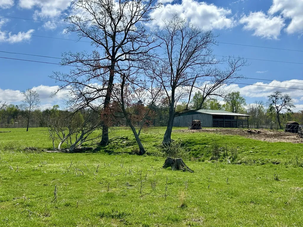 428 Dick Wilson Road Strunk KY 42649