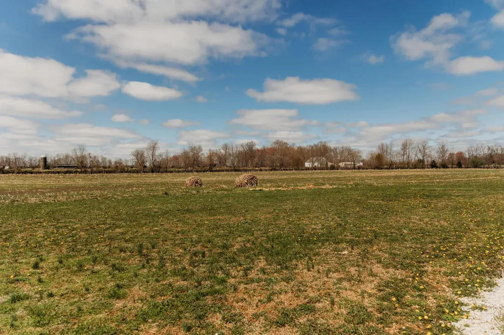 4241 Kendall Springs Road Owingsville KY 40360