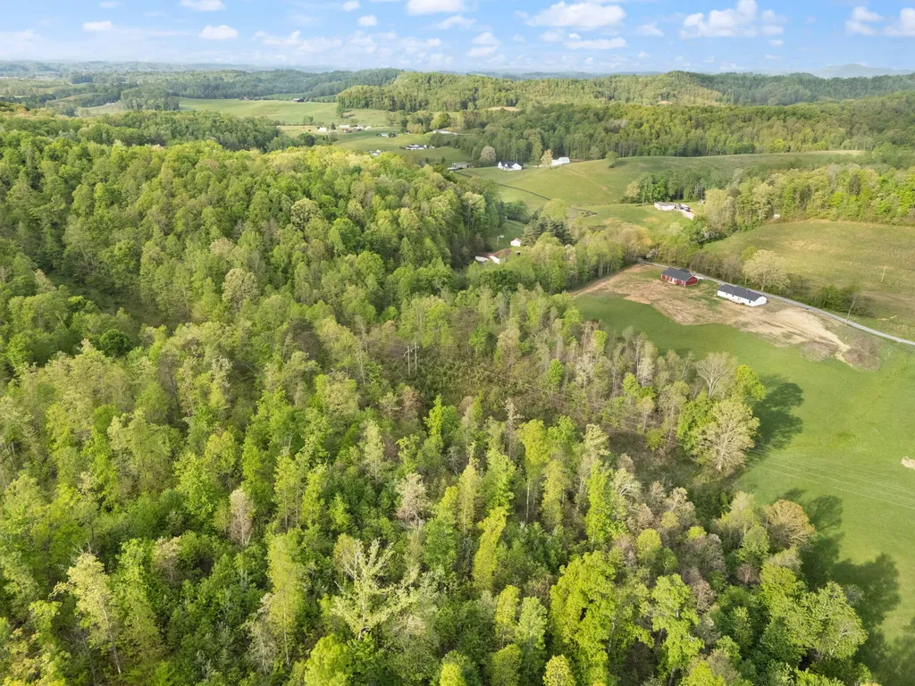 827 Pine Hill Brock Road London KY 40741