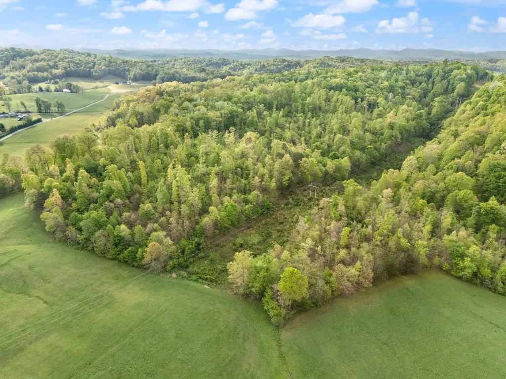 827 Pine Hill Brock Road London KY 40741