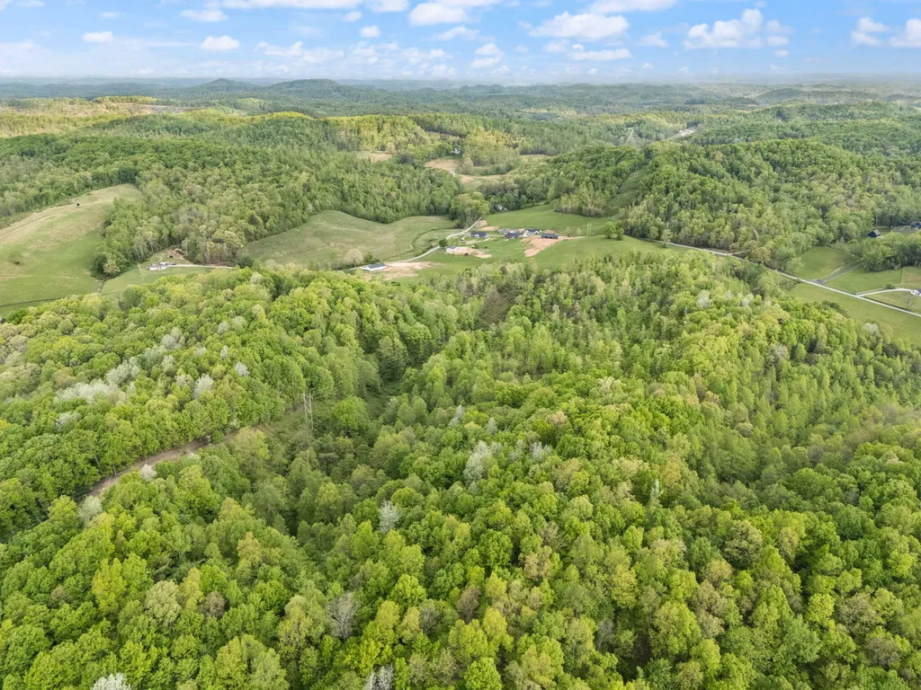 827 Pine Hill Brock Road London KY 40741