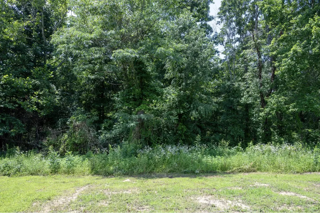 Lot 24 Outlook Drive Owingsville KY 40360