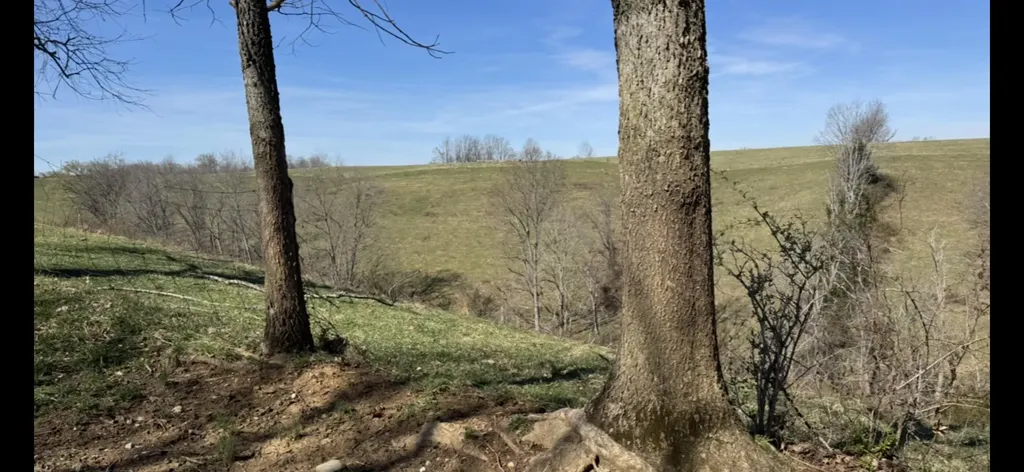 0000 Tates Creek Road Richmond KY 40475