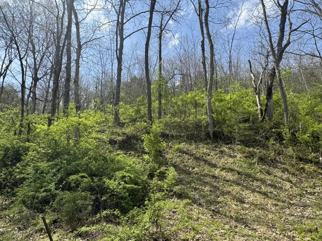 0000 Tates Creek Road Richmond KY 40475