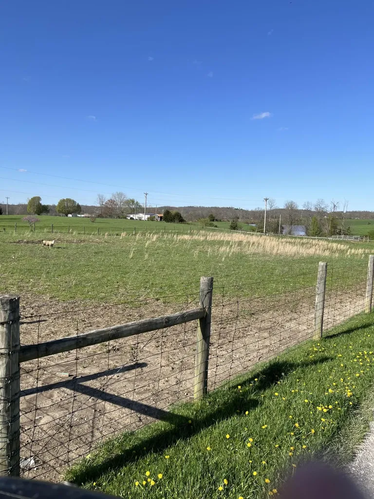 1065 Blevins Valley Road Owingsville KY 40360