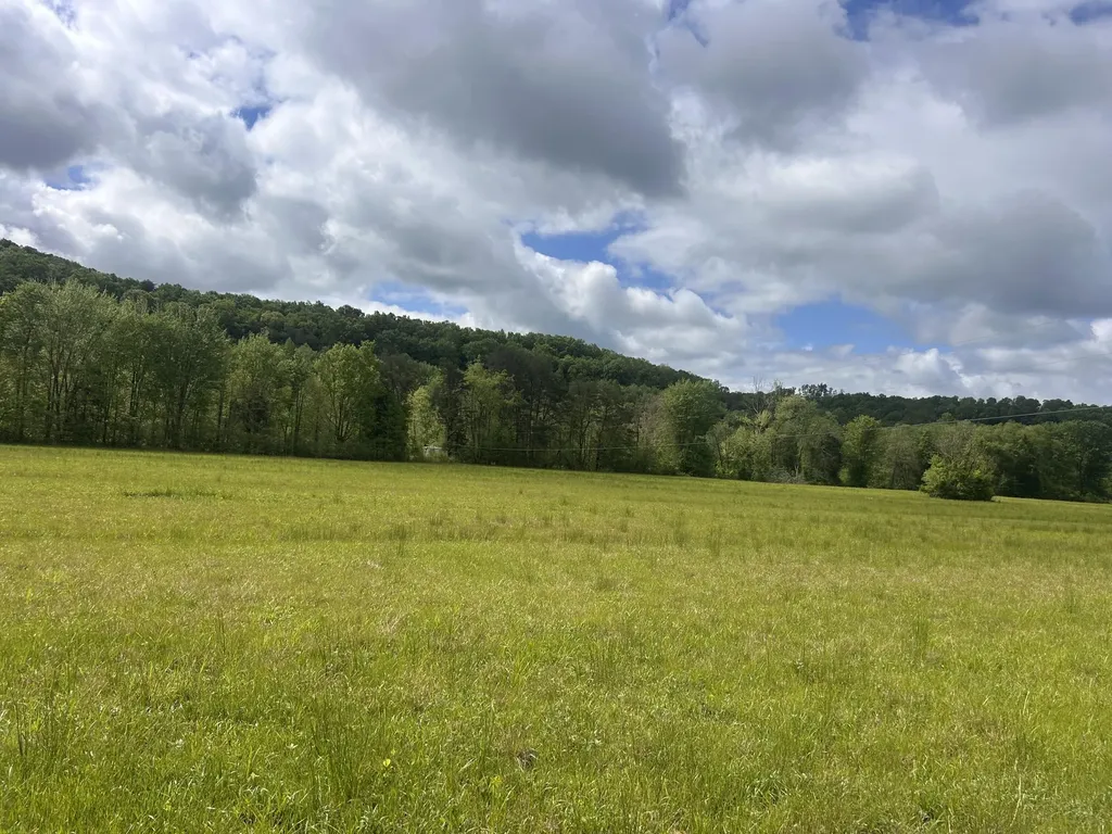 261 Arvil Lane Crab Orchard KY 40419