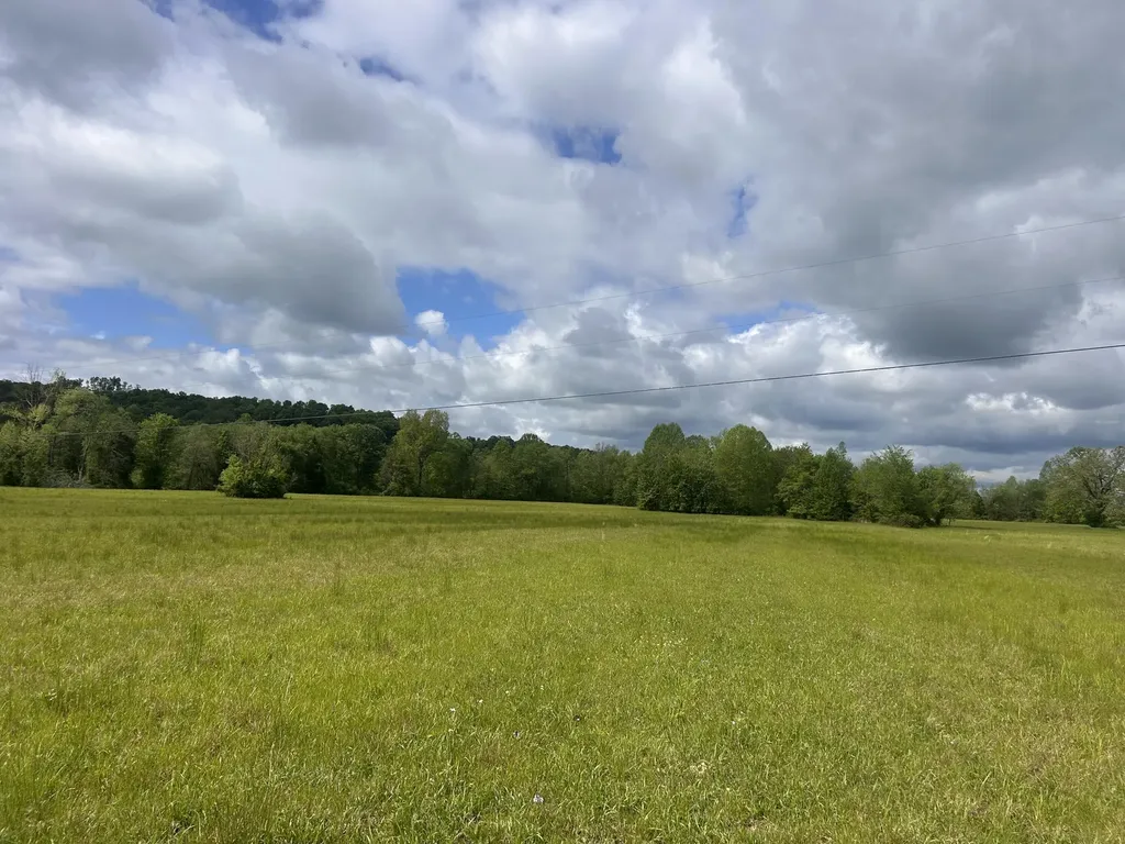 261 Arvil Lane Crab Orchard KY 40419