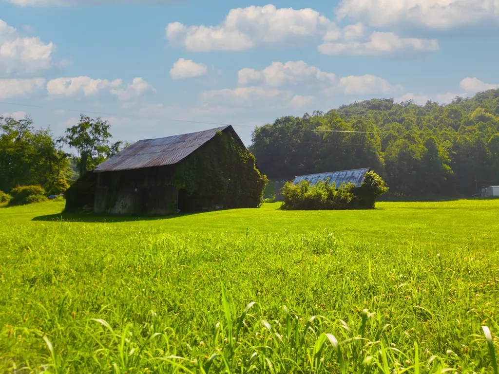 82 Fairview Farm Lane Inez KY 41224