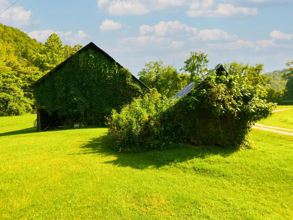82 Fairview Farm Lane Inez KY 41224