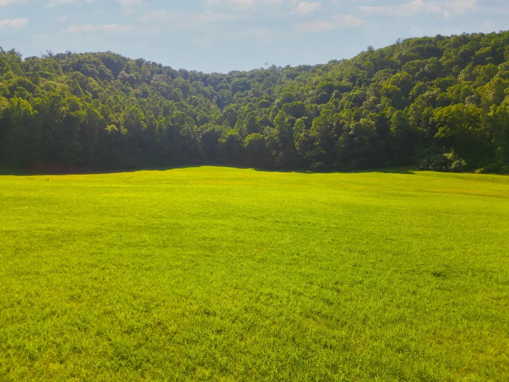 82 Fairview Farm Lane Inez KY 41224
