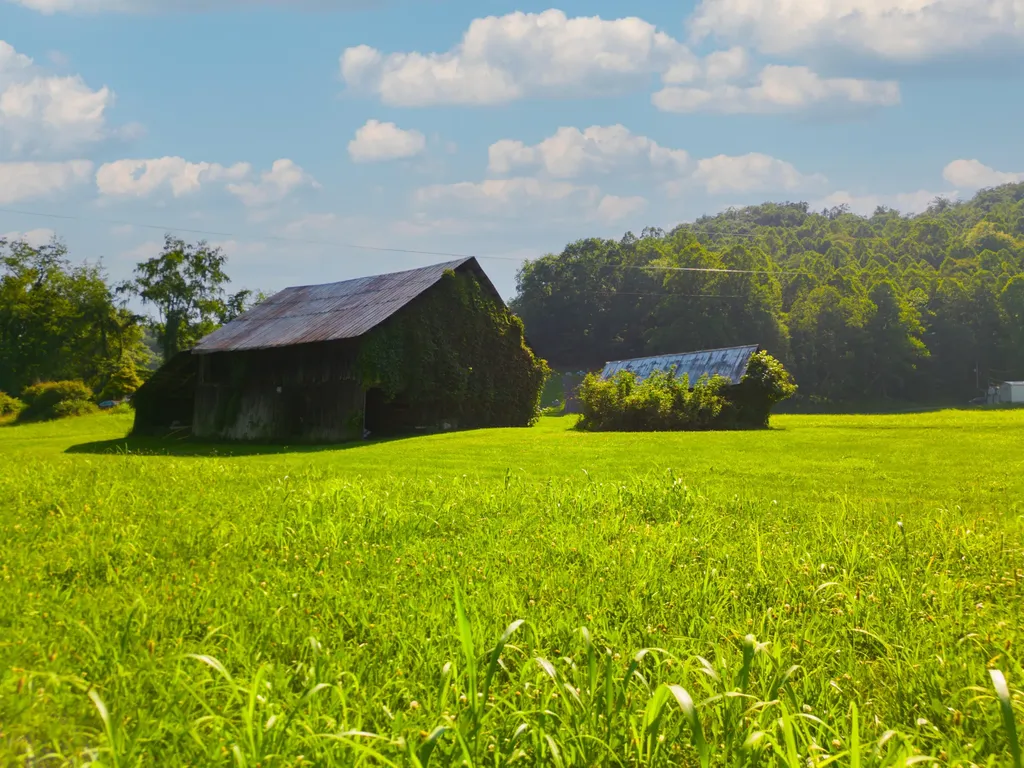 82 Fairview Farm Lane Inez KY 41224