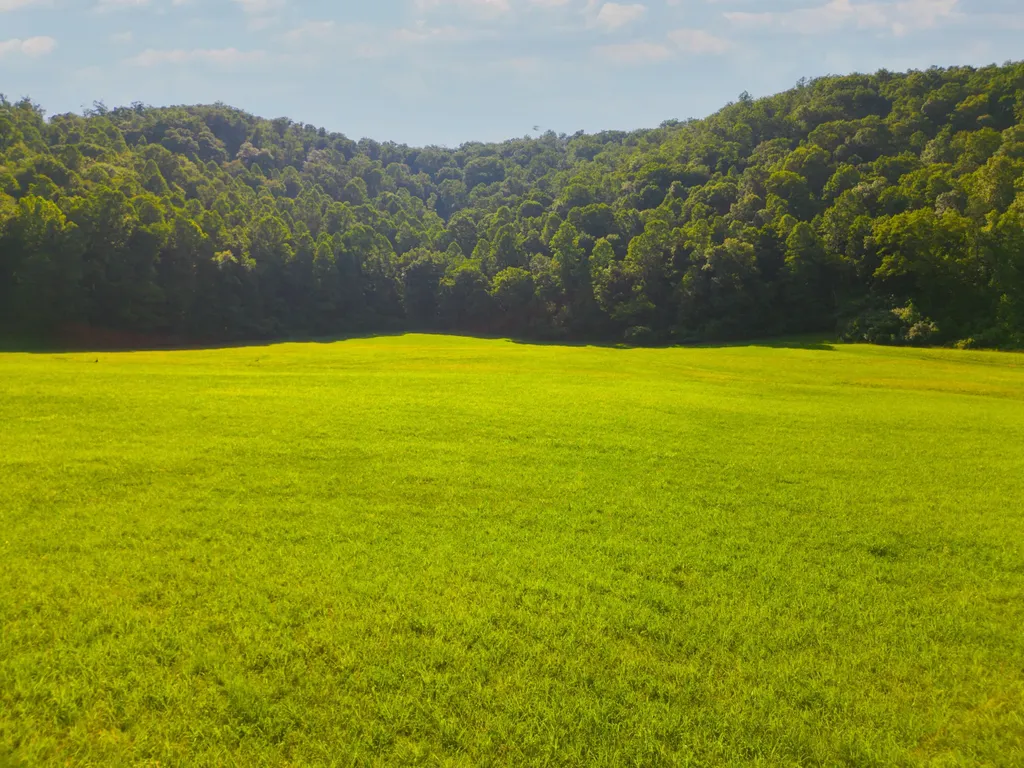 82 Fairview Farm Lane Inez KY 41224
