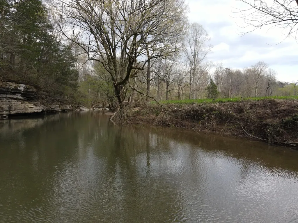 667 Troutstream Road Dunnville KY 42528