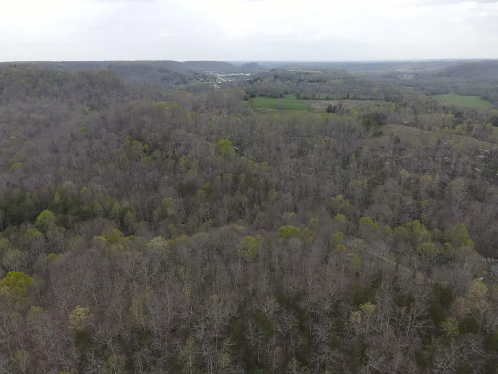 667 Troutstream Road Dunnville KY 42528