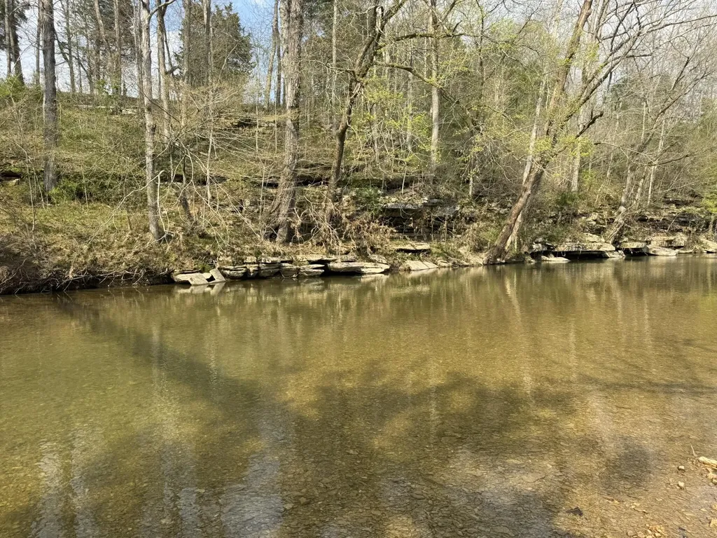 667 Troutstream Road Dunnville KY 42528
