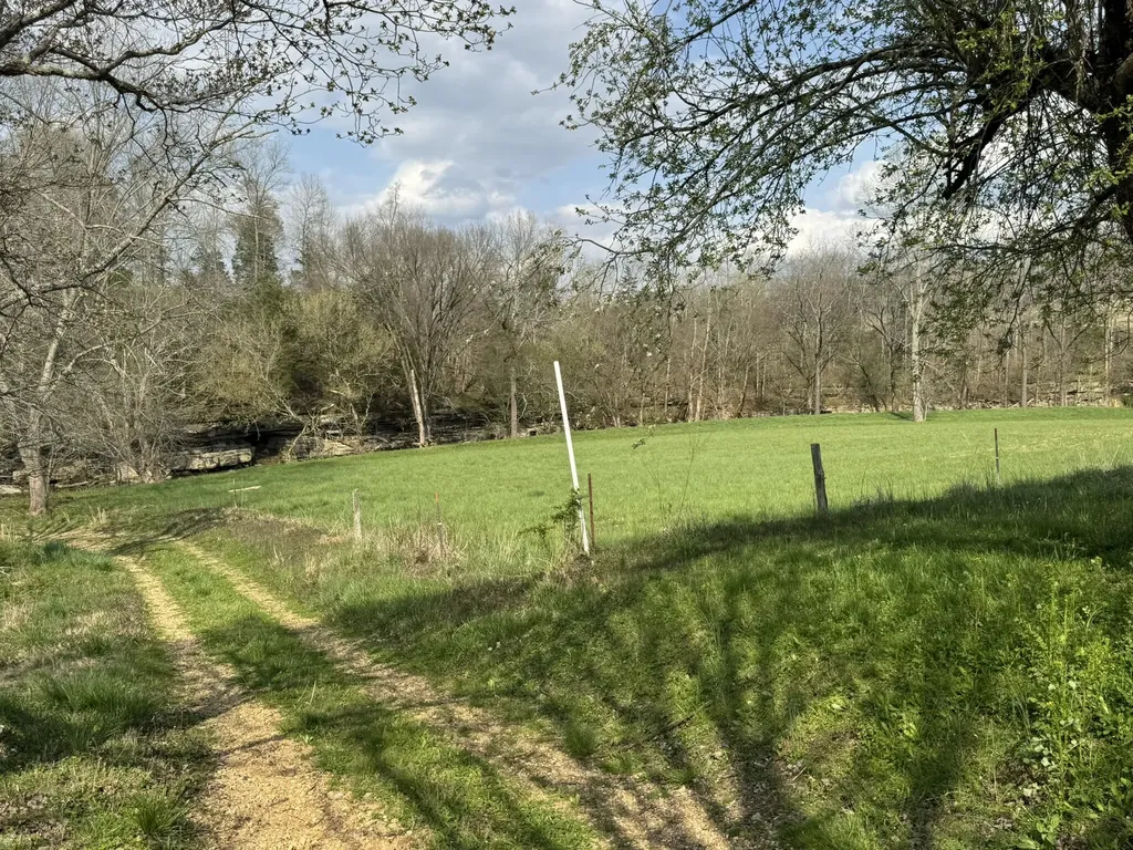 667 Troutstream Road Dunnville KY 42528