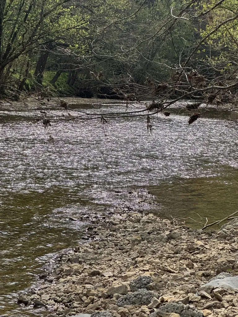 667 Troutstream Road Dunnville KY 42528