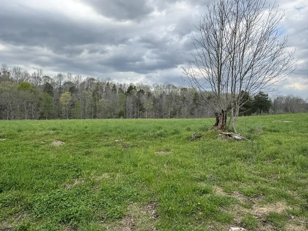 667 Troutstream Road Dunnville KY 42528