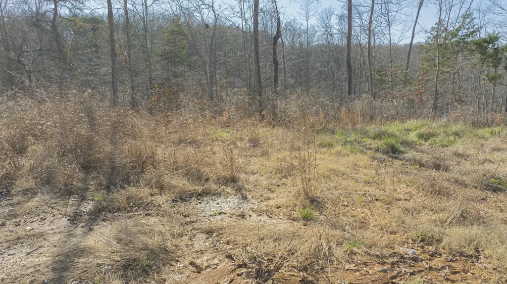 012 Wake Shore Drive Monticello KY 42633