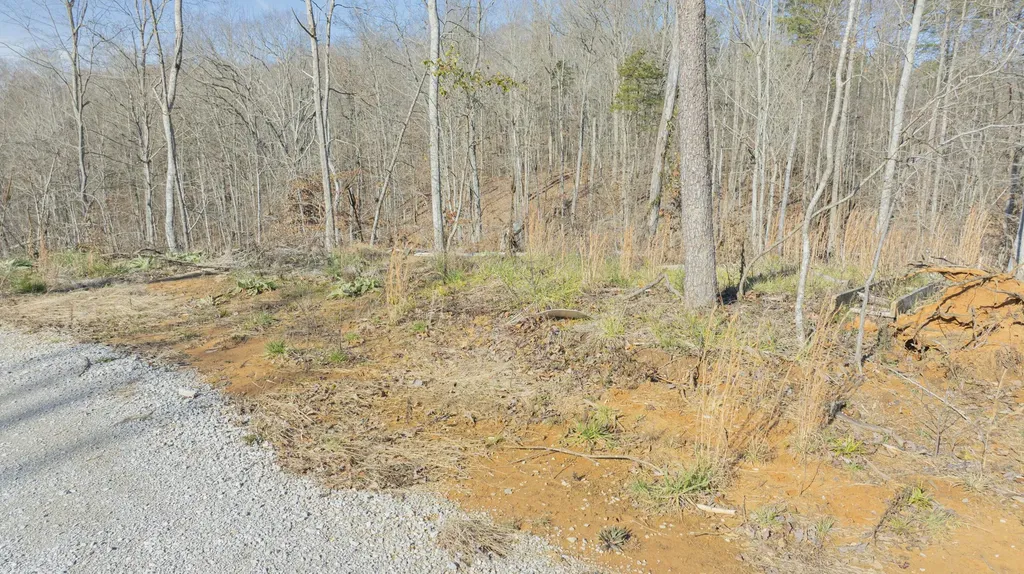 012 Wake Shore Drive Monticello KY 42633