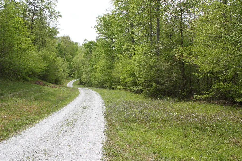Tract 13 Dogwood Drive Whitley City KY 42653