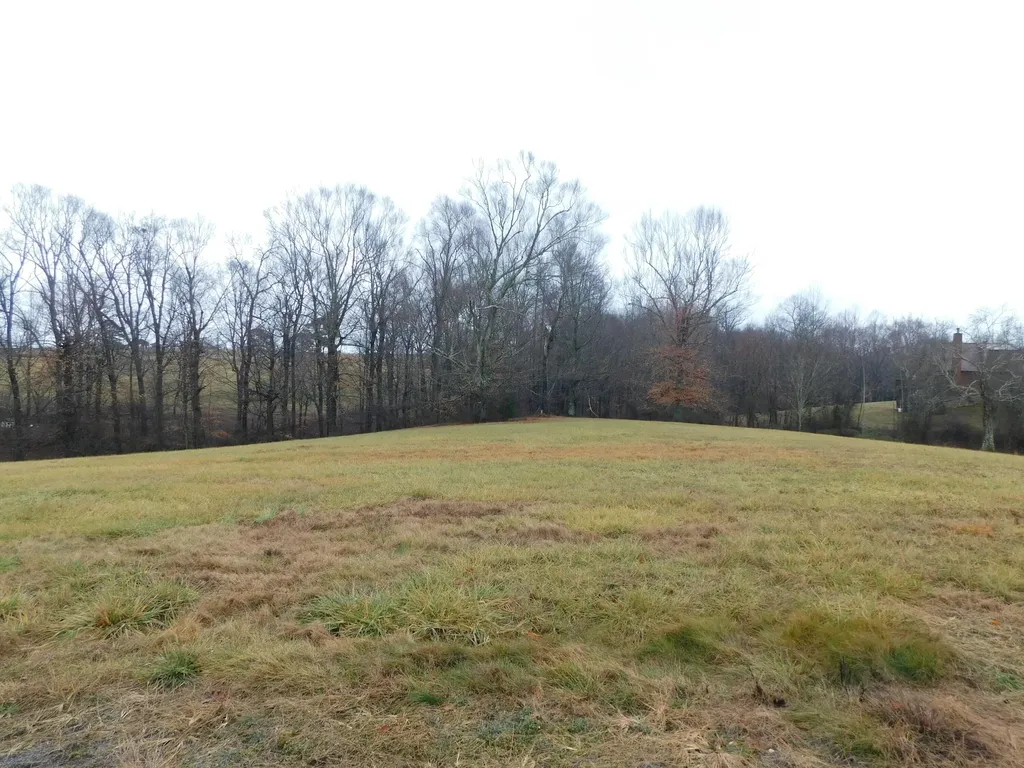 Lot 8 Creekside Boulevard Russell Springs KY 42642