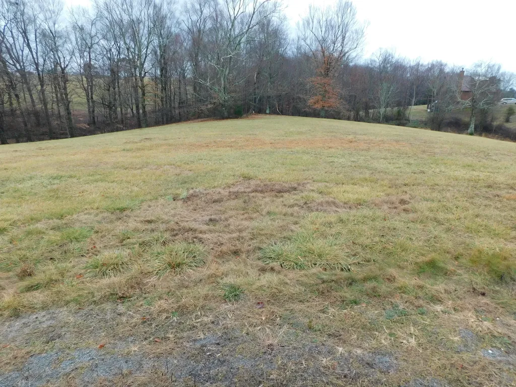 Lot 8 Creekside Boulevard Russell Springs KY 42642