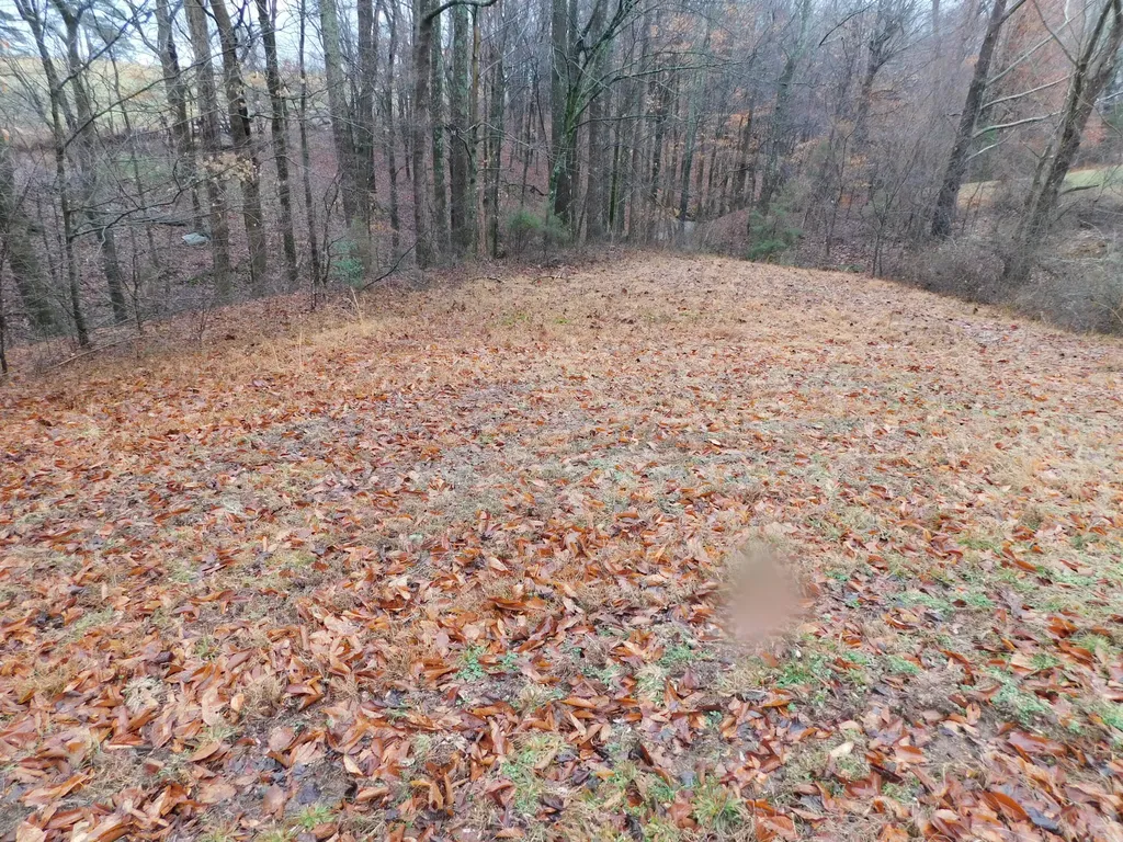Lot 8 Creekside Boulevard Russell Springs KY 42642