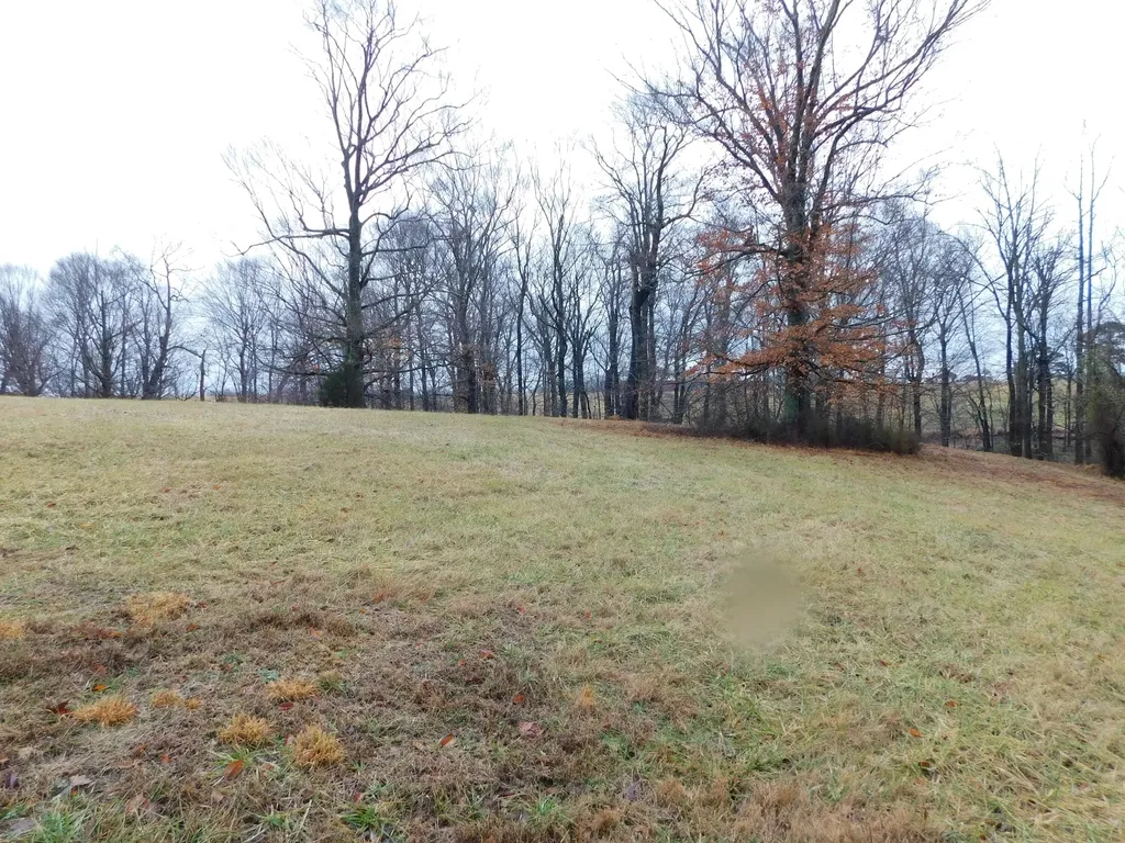 Lot 8 Creekside Boulevard Russell Springs KY 42642