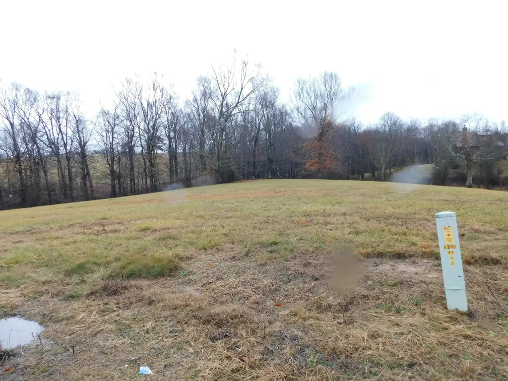 Lot 8 Creekside Boulevard Russell Springs KY 42642