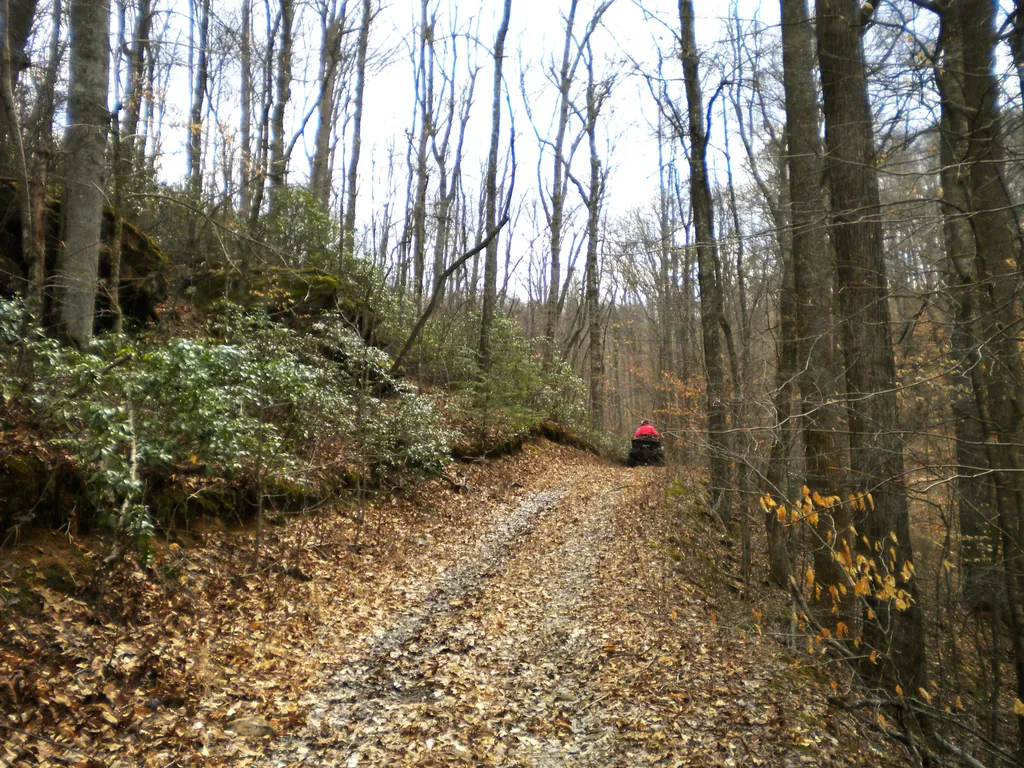 Tract 12 Dogwood Drive Whitley City KY 42653