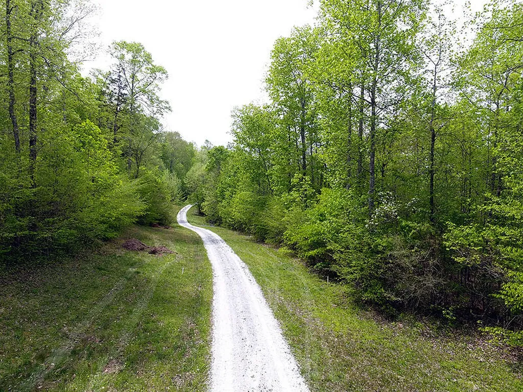 Tract 4 Dogwood Drive Whitley City KY 42653