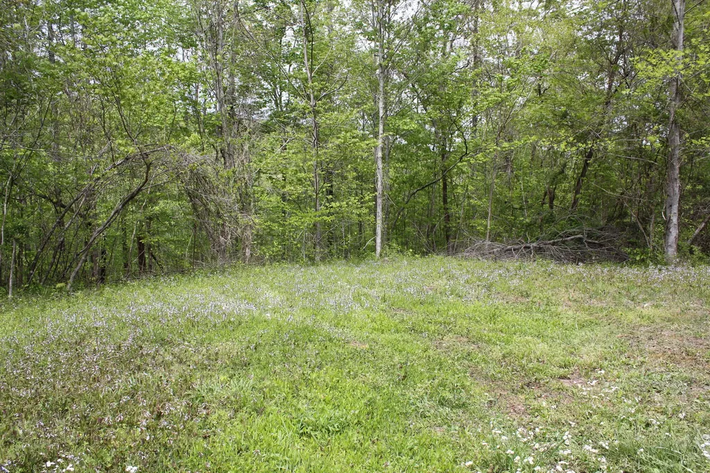 Tract 4 Dogwood Drive Whitley City KY 42653