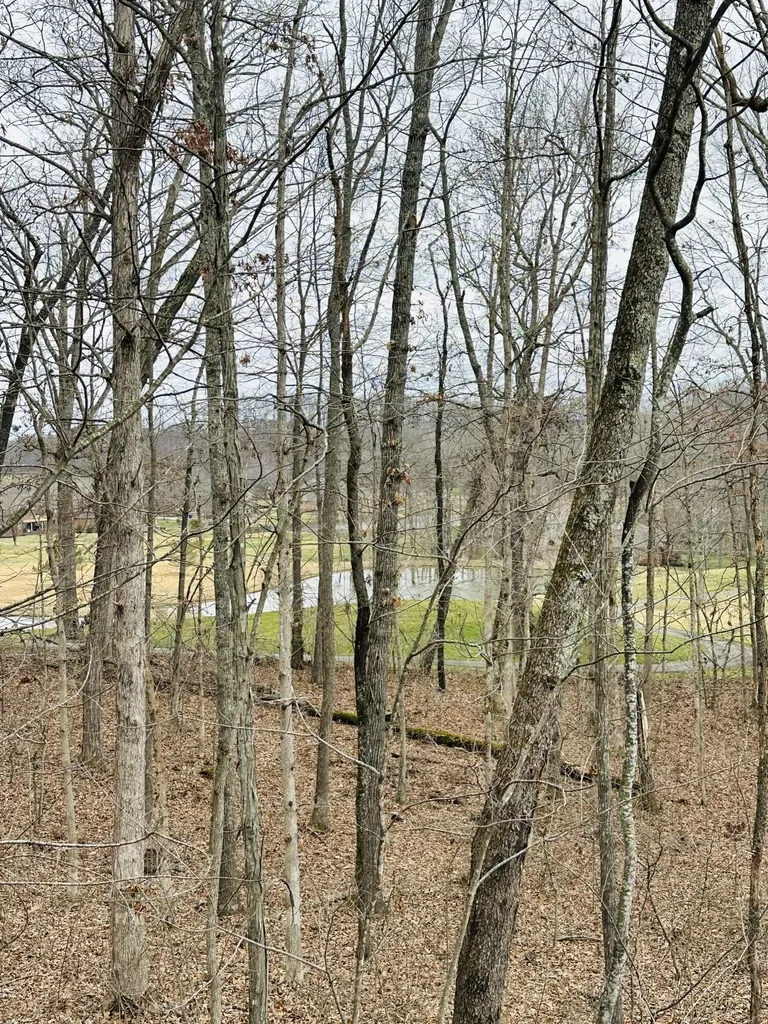 126 Beechwood Drive London KY 40744