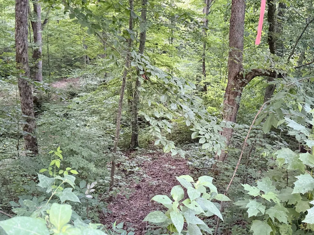 LOT#35 Suncrest Drive Somerset KY 42503