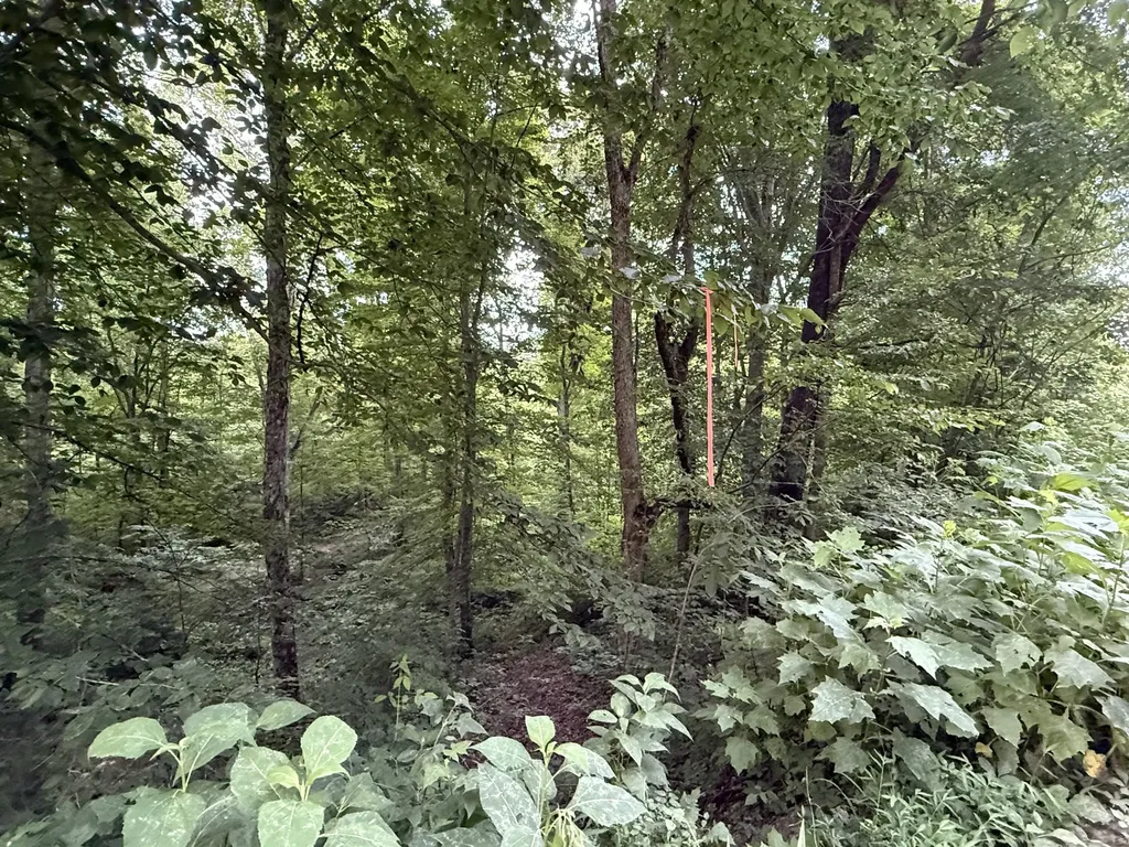 LOT#35 Suncrest Drive Somerset KY 42503