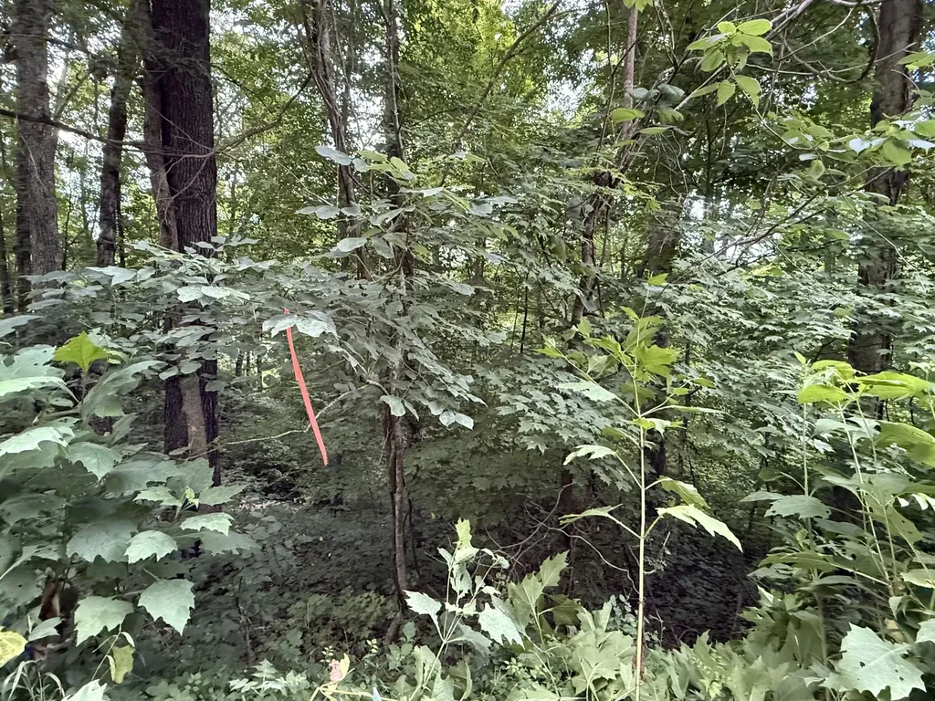 LOT#35 Suncrest Drive Somerset KY 42503
