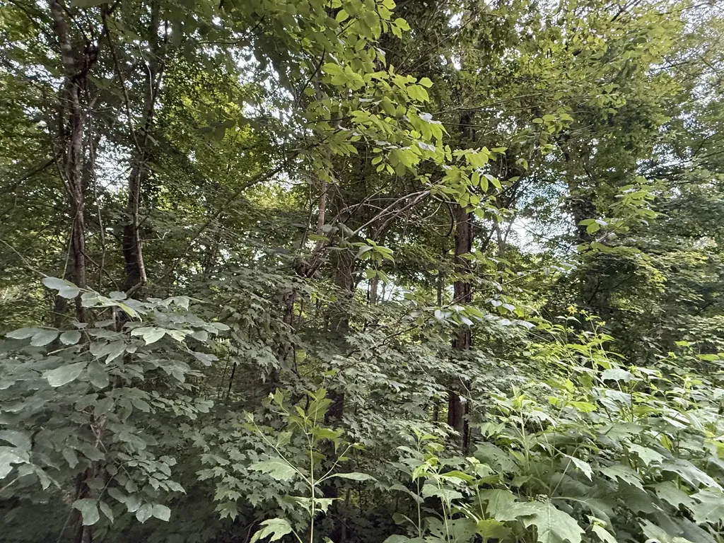 LOT#35 Suncrest Drive Somerset KY 42503