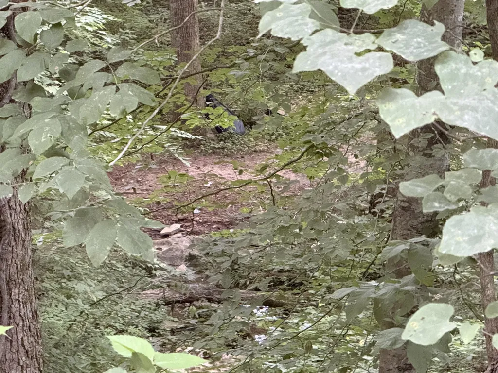 LOT#35 Suncrest Drive Somerset KY 42503