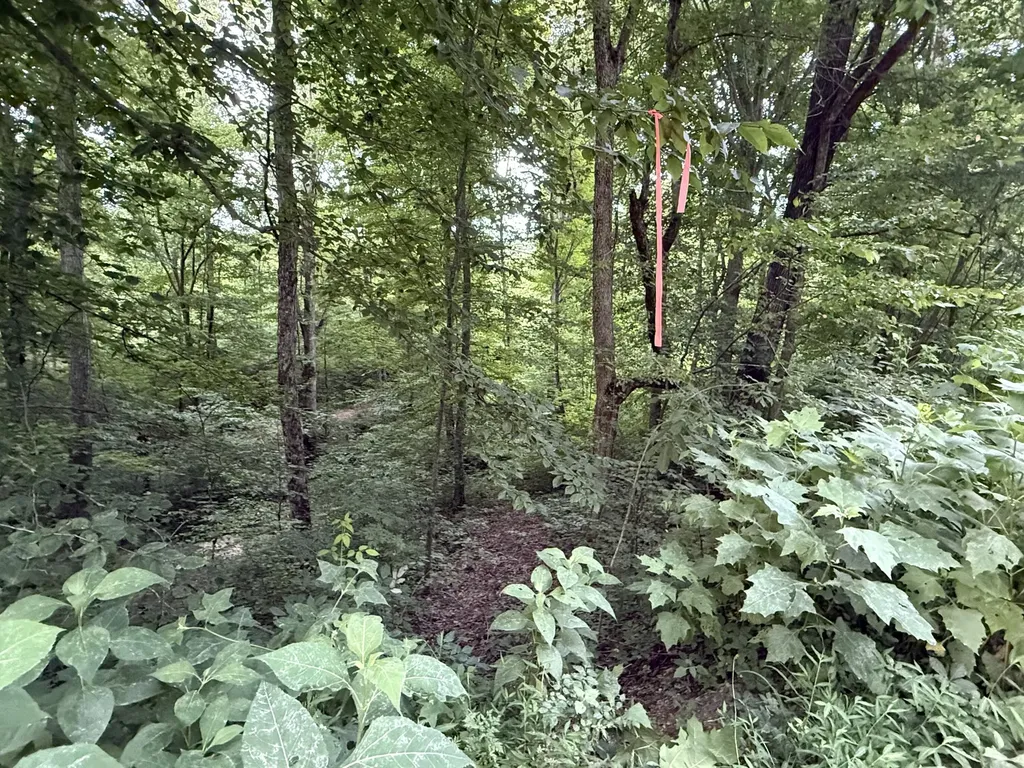 LOT#35 Suncrest Drive Somerset KY 42503