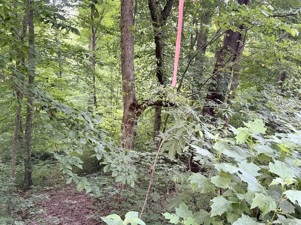 LOT#35 Suncrest Drive Somerset KY 42503