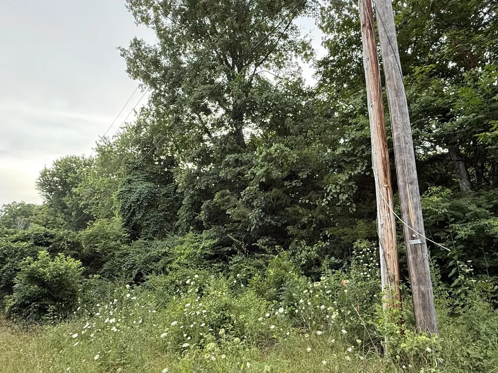 LOT#24 Samara Drive Somerset KY 42503
