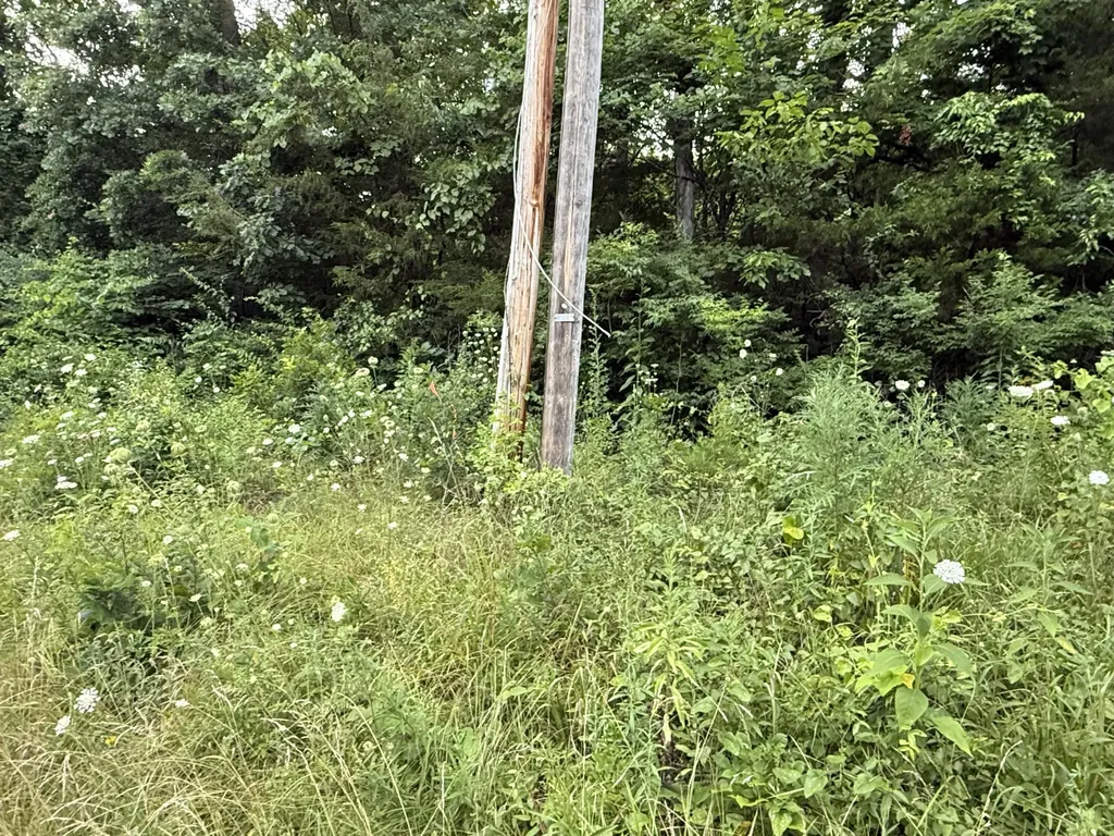 LOT#24 Samara Drive Somerset KY 42503