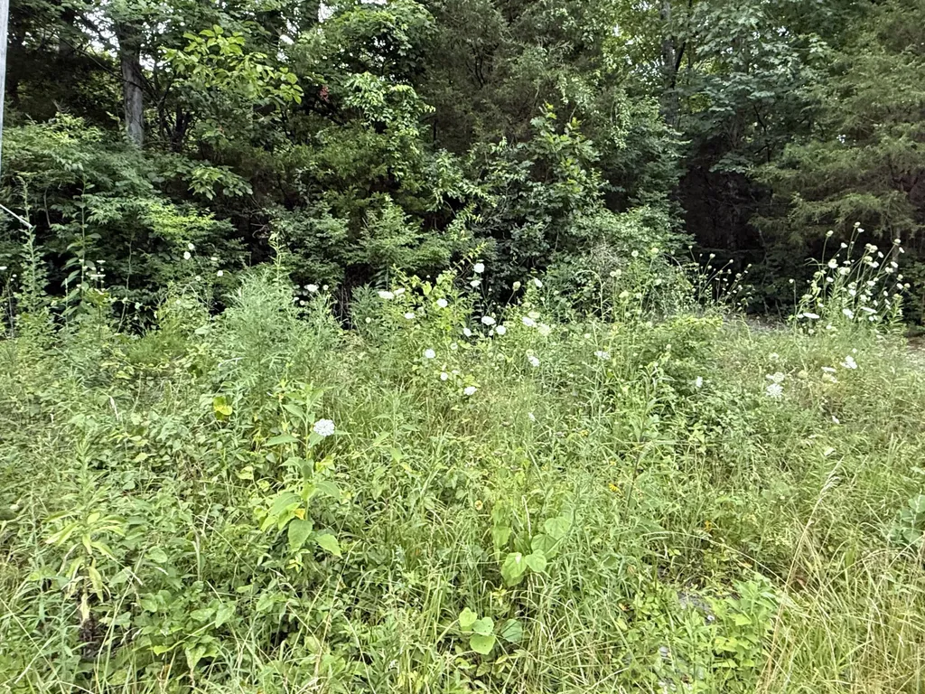 LOT#24 Samara Drive Somerset KY 42503