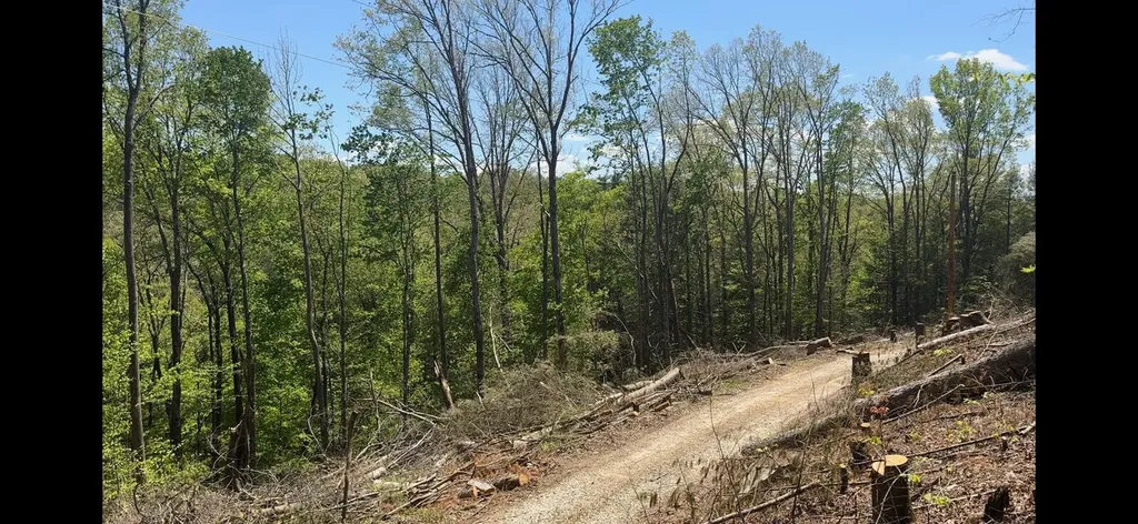 Lot 67 Victory Falls Road Campton KY 41301