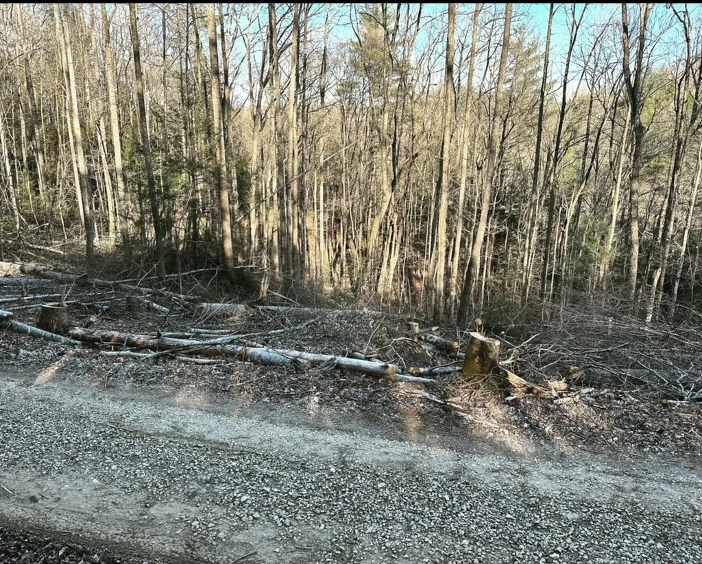 Lot 67 Victory Falls Road Campton KY 41301