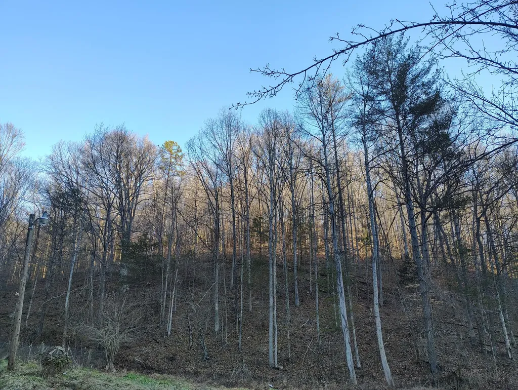 815 Highway 3446 Mckee KY 40447