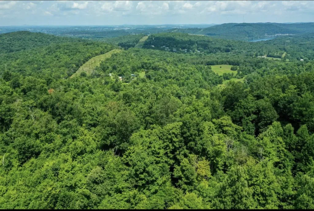 1105 Tateville Antioch Road Burnside KY 42519