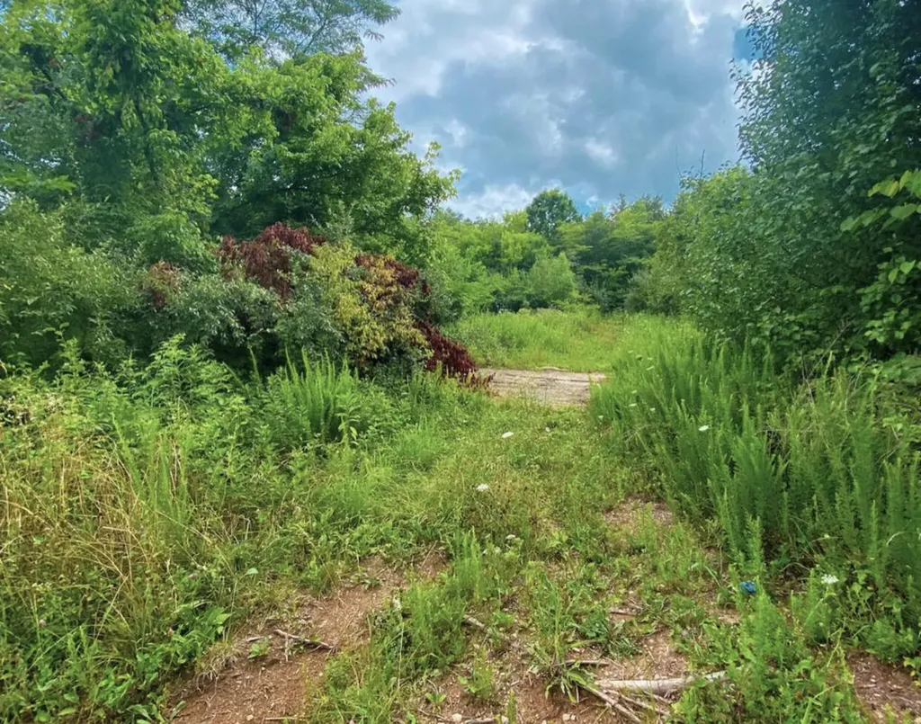 1105 Tateville Antioch Road Burnside KY 42519